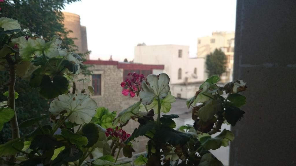 Отель Deniz Inn Boutique Hotel Баку